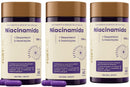 Niacinamida 1000mg 60 Cápsulas Fortlife Sem Sabor kit 3 caixas